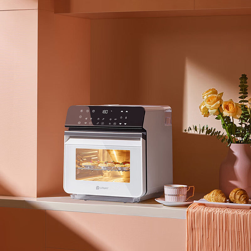Multi-functional Steam Oven