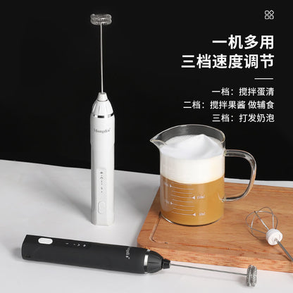 Household Electric Frother